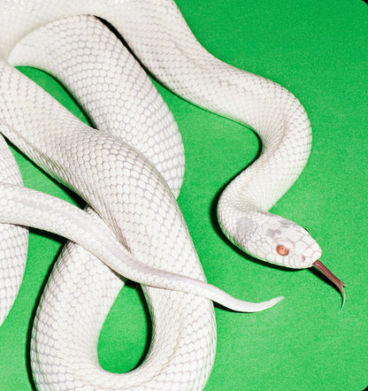 Deftones-Inspired Waist Beads
